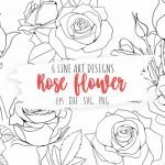 Rose Flower Line Art Illustrations Blooming Line Art Example.