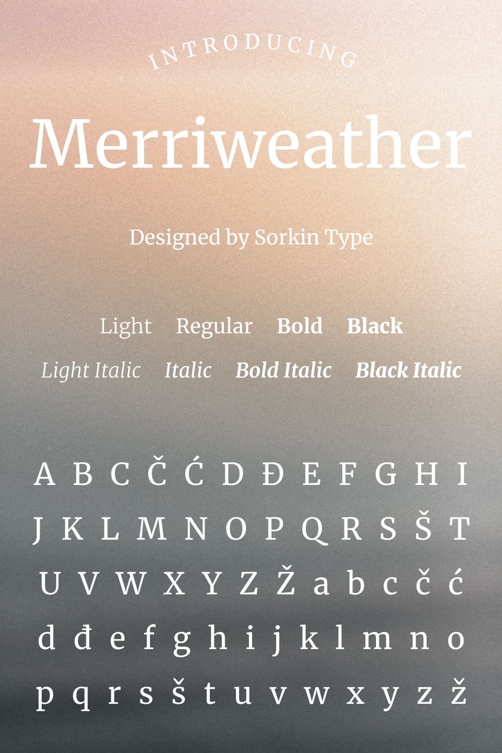 A good, versatile font available for free from Google will complement your project.