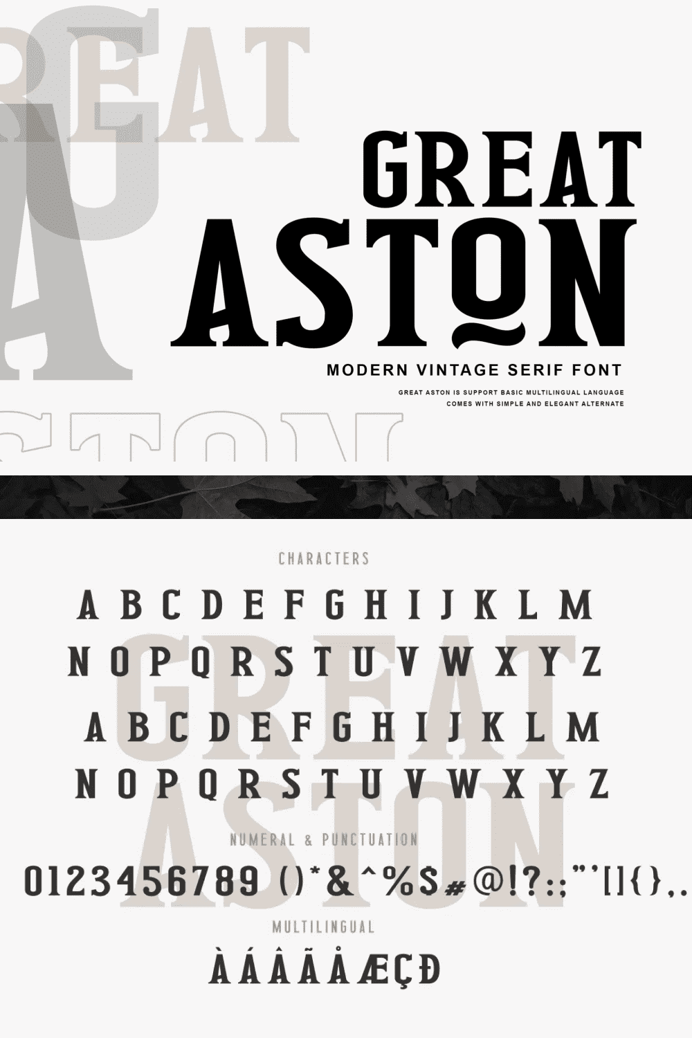 This is an elegant and bold serif font. It can easily be matched to an incredibly large set of projects.