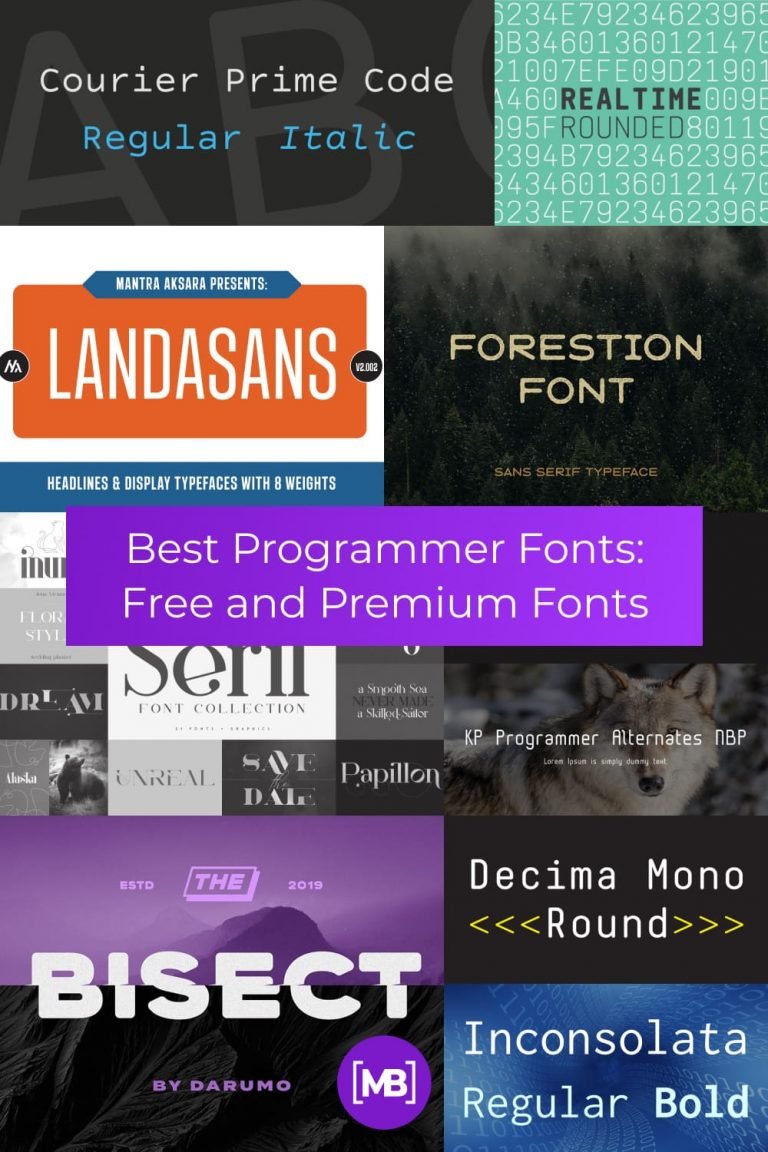 10+ Best Programmer Fonts for 2021: Free and Premium Fonts