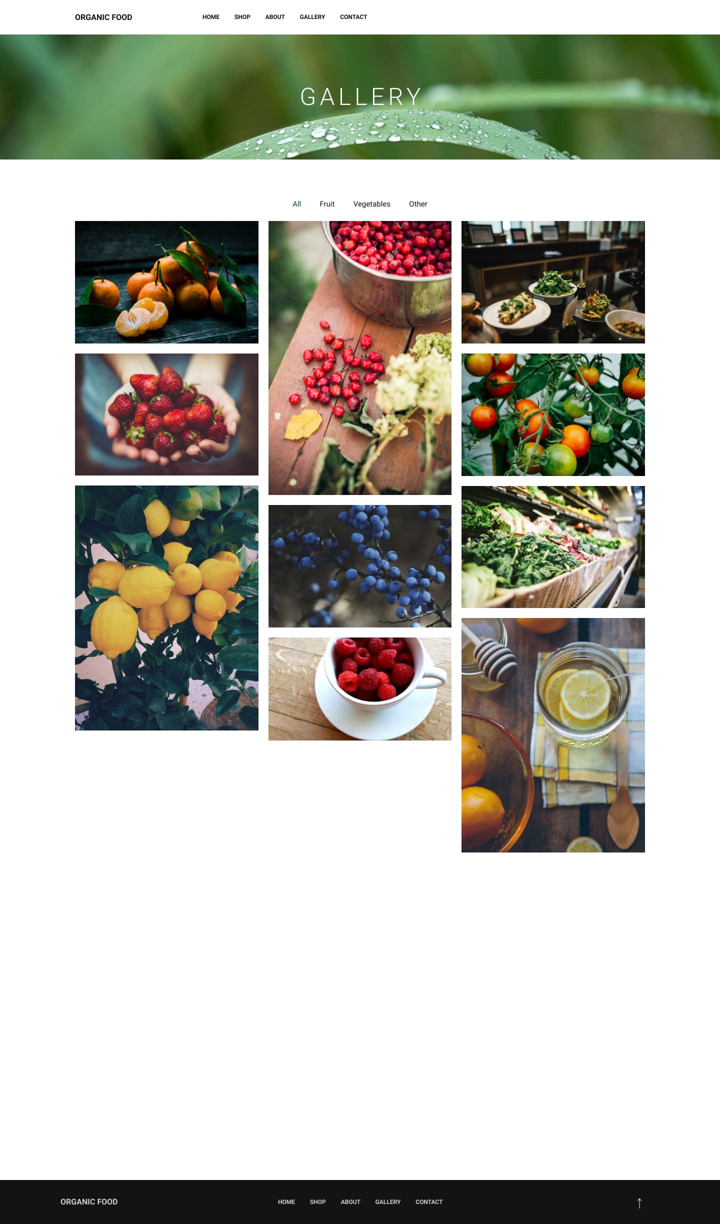 Catalog Organic Food Website Design PSD Gallery.