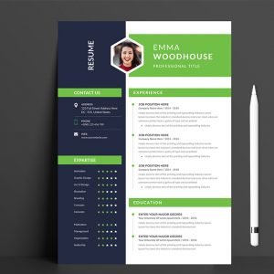 Minimalist Resume / CV | MasterBundles