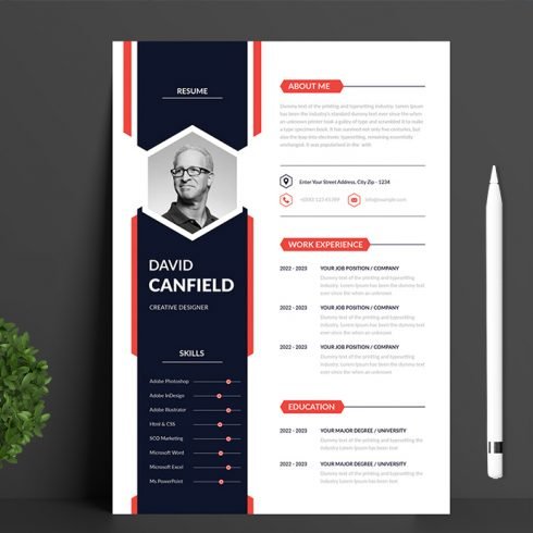 Professional resume template with a red and blue color scheme.