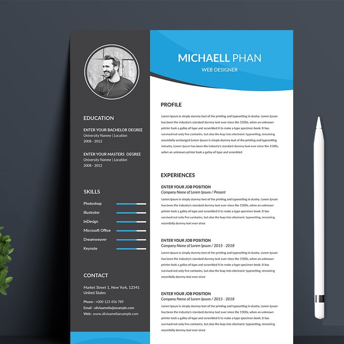 Stylish two-colored resume.