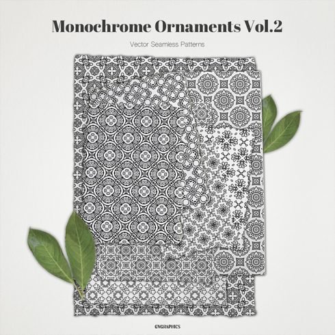 Monochrome Ornaments Vector Patterns Vol.2 main cover.