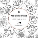 Hand Drawn Roses, Floral Illustrations in Black and White main cover.