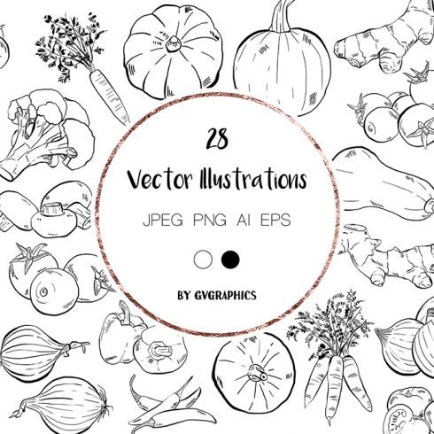 Hand Drawn Vegetables Vector Illustrations main cover.