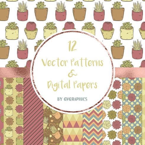 Vector Succulents, Cacti and Doodles Patterns main cover.