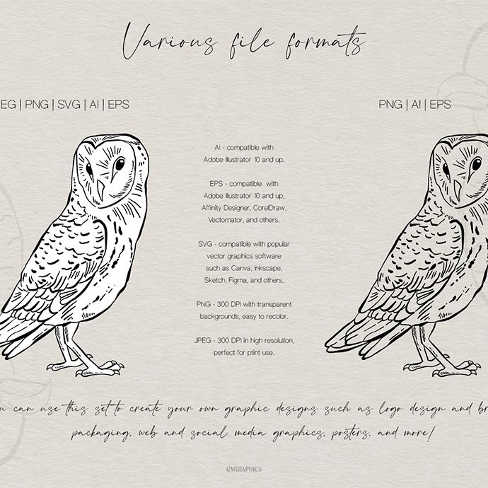 Hand Drawn Birds Vector Illustrations Vol.1 cover image.