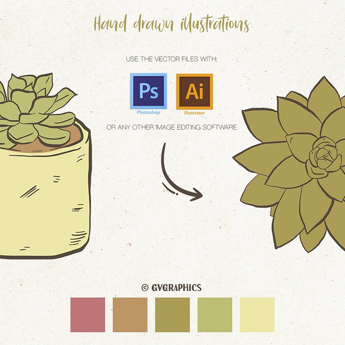 Hand Drawn Succulents, Cacti and Doodles Vector Illustrations cover image.