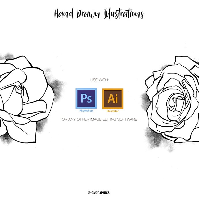 Hand Drawn Roses, Floral Illustrations in Black and White cover image.