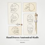 Anatomical Skulls: Hand Drawn Vector Illustrations Main Image.