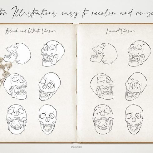 Anatomical Skulls: Hand Drawn Vector Illustrations cover image.