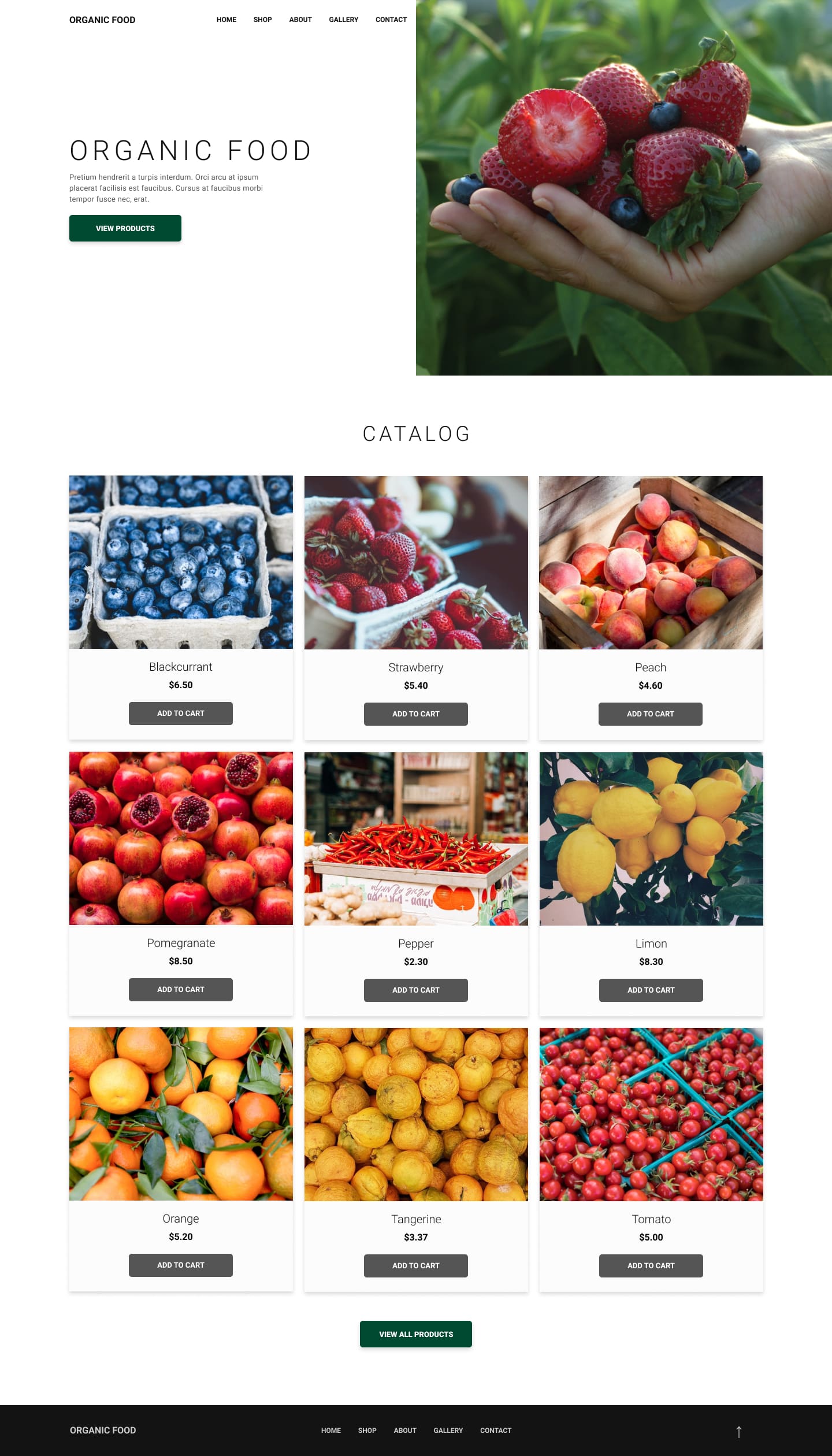 Catalog Organic Food Website Design PSD Shop.