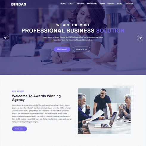 Bindas Consulting Business Template Example.