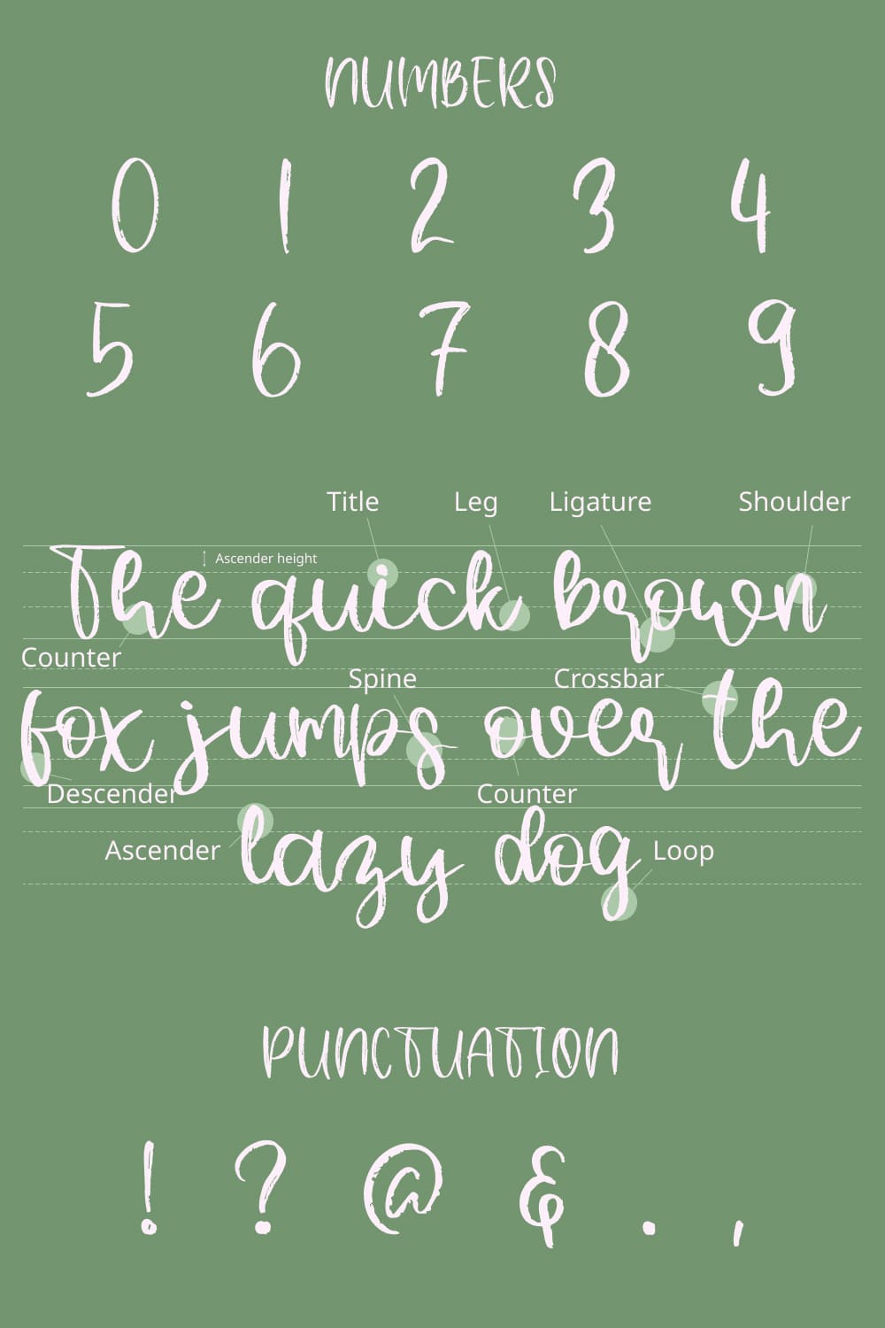 Numbers and other characters of farmhouse font.