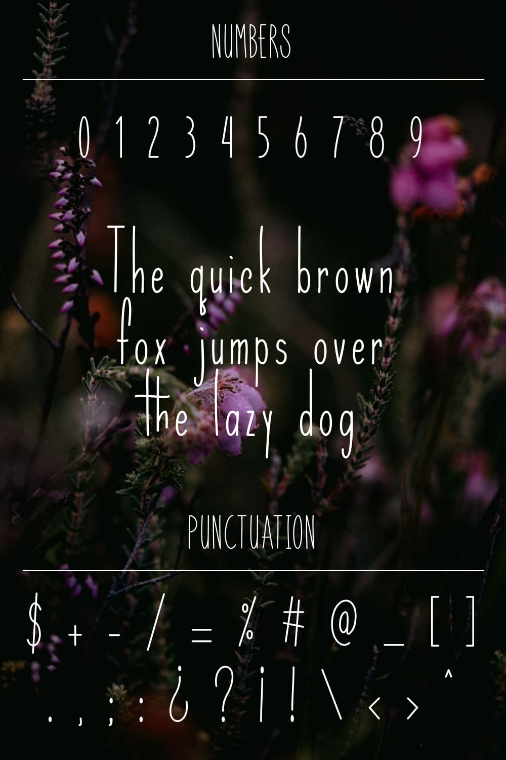 Numbers of Insta Font.