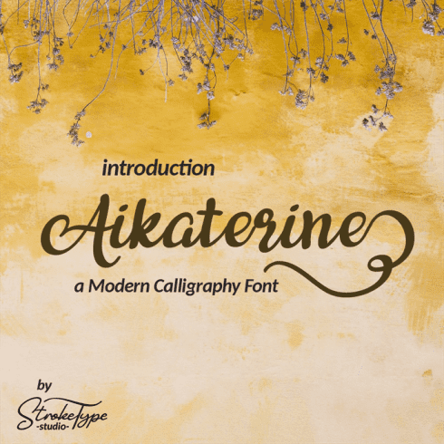 A fabulously fun yet elegant script font with tons of energy, allowing you to create beautiful hand-made typography in an instant.