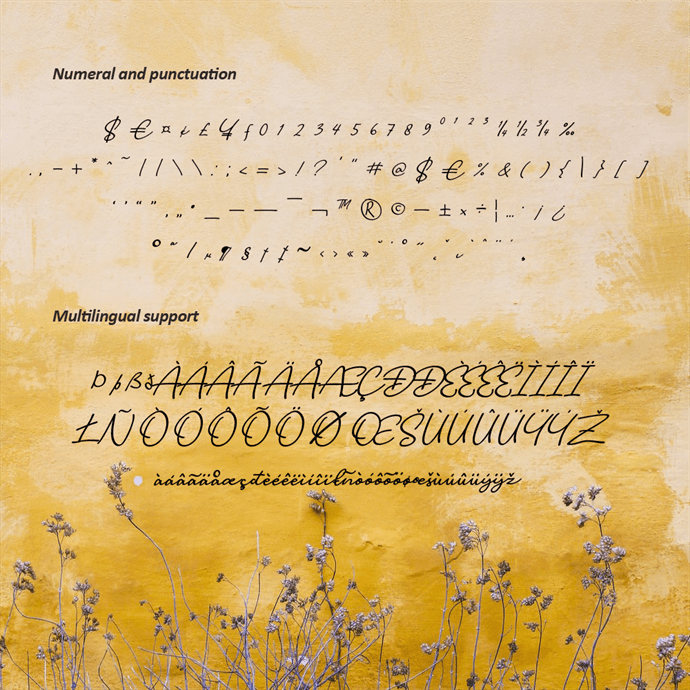Numeral and Punctuation Preview for Camishia Signature Font.