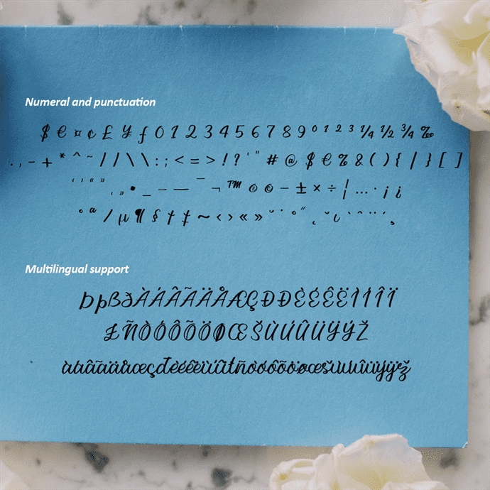 Dashania Handwritten Script Font Numeral and Punctuation Preview Image.