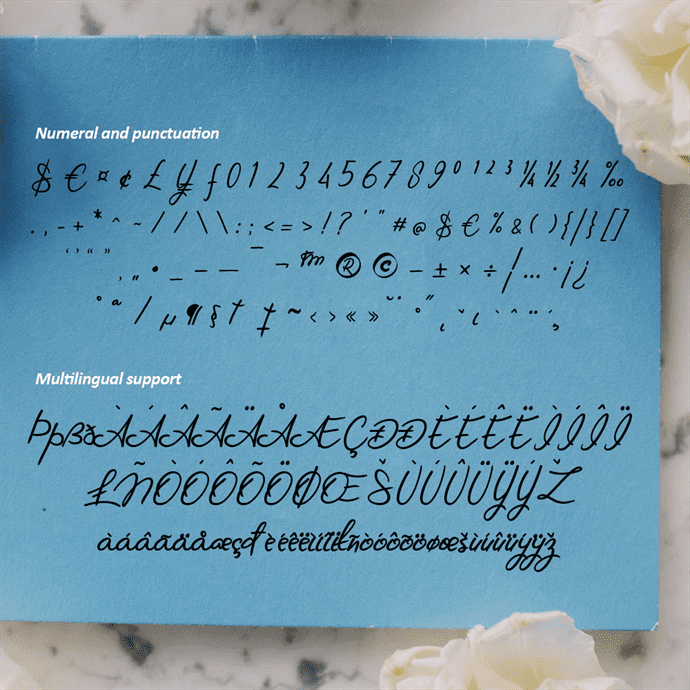 Numeral and Punctuation Preview for Etaglyphs Modern Handwritten Font.