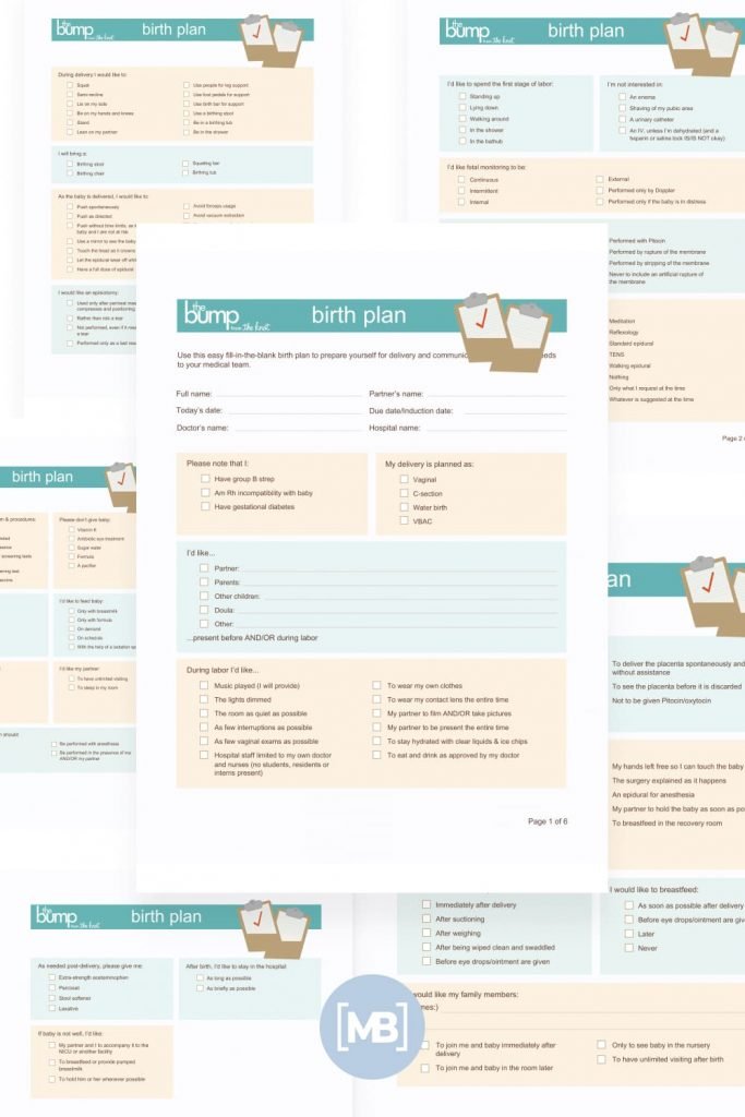 10+ Best Birth Plan Templates for 2021. Best Free and Premium Templates