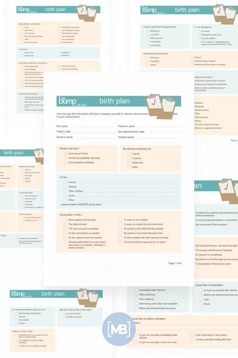 10 best birth plan templates for 2021 best free and premium templates