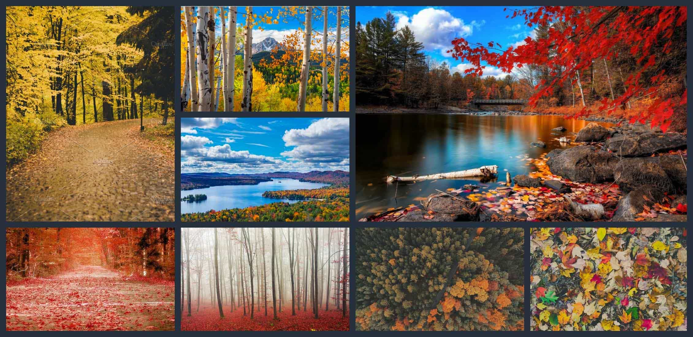 10+ Best Fall Wallpapers for 2021: Free and Premium | MasterBundles