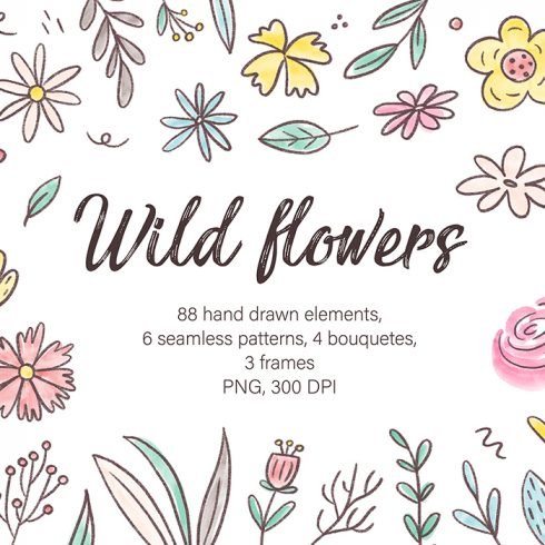 Wild Flowers, Watercolor Clipart, Hand Drawn Illustrations Example.