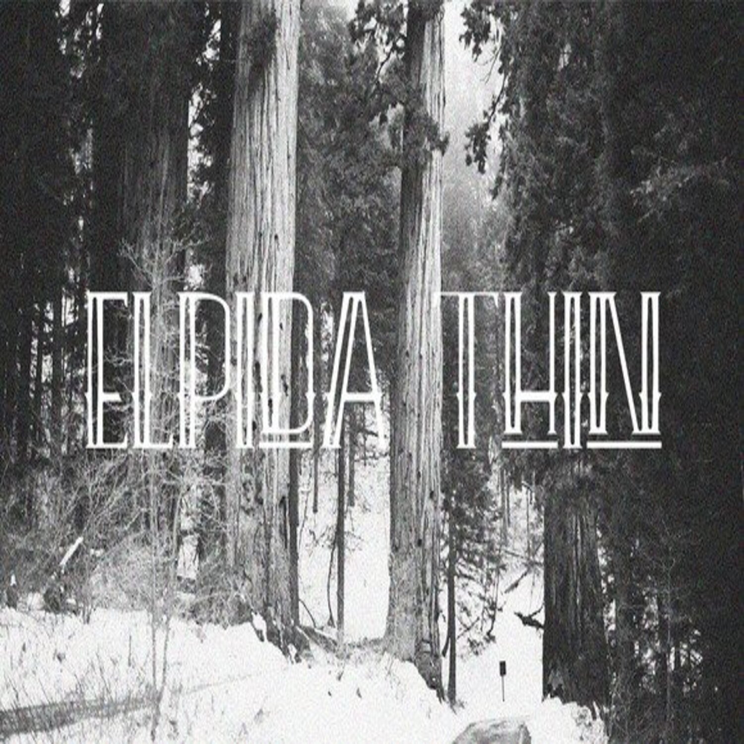 Elpida Thin Display Font main cover.