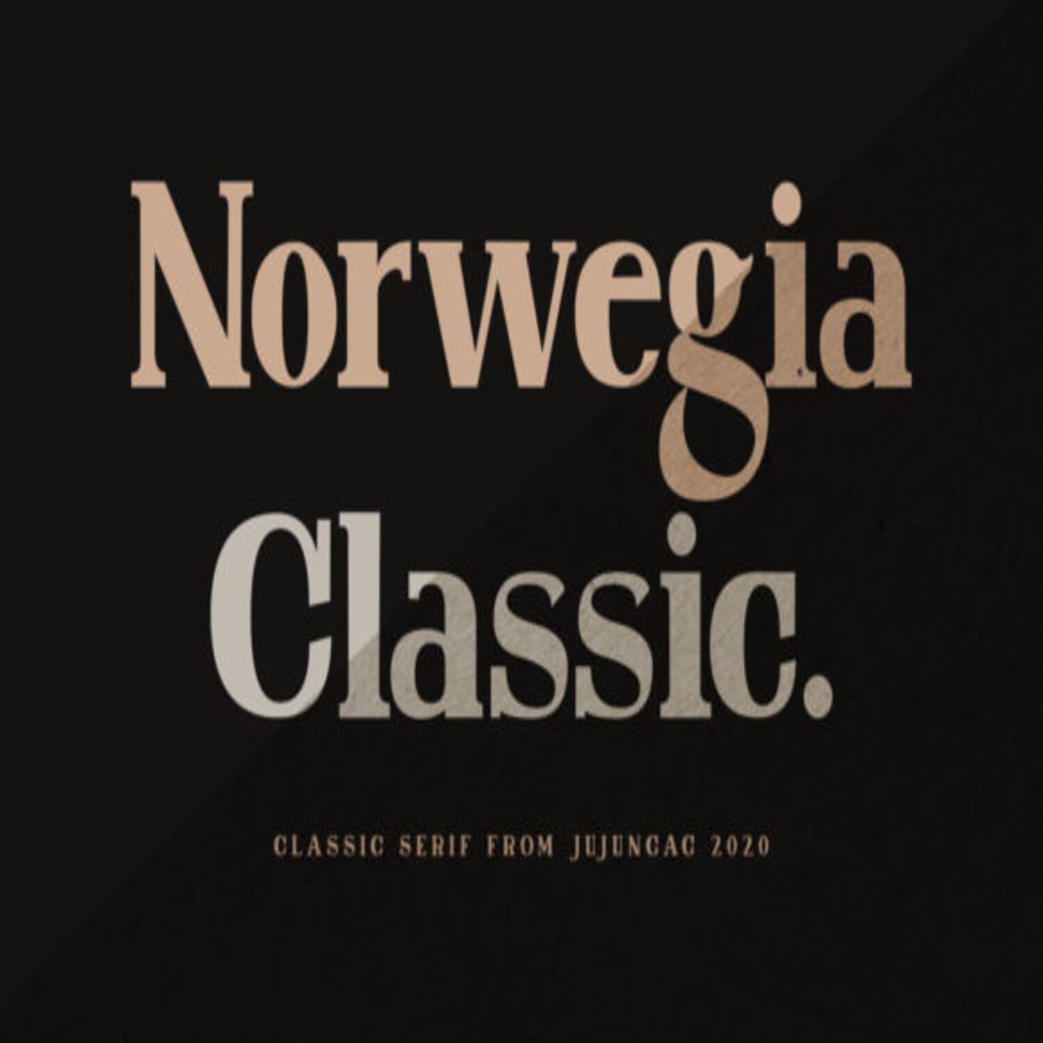 Norwegia Classic Fonts main cover.