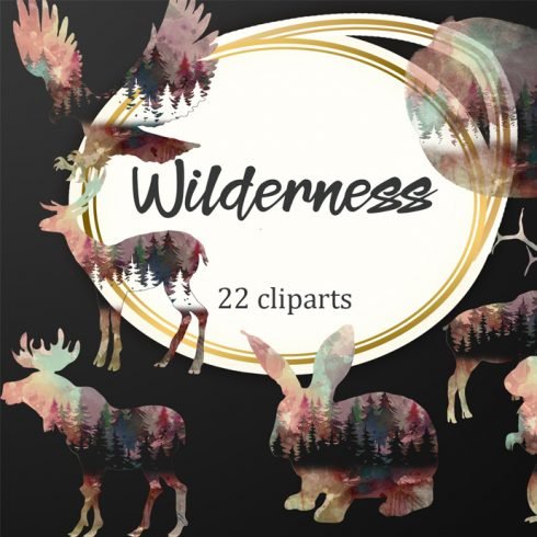 Wilderness 01