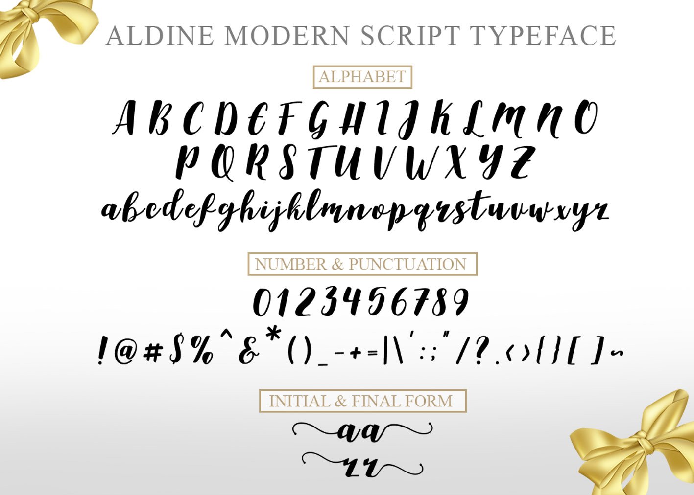 A general version of the font with all its features.