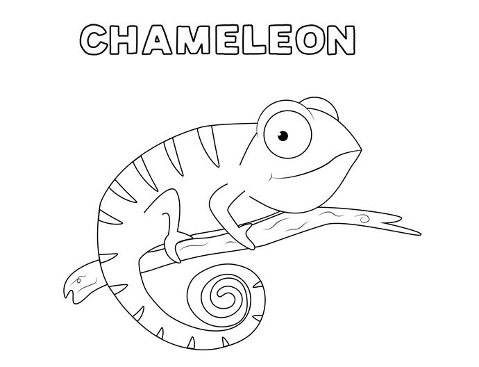chameleon 07