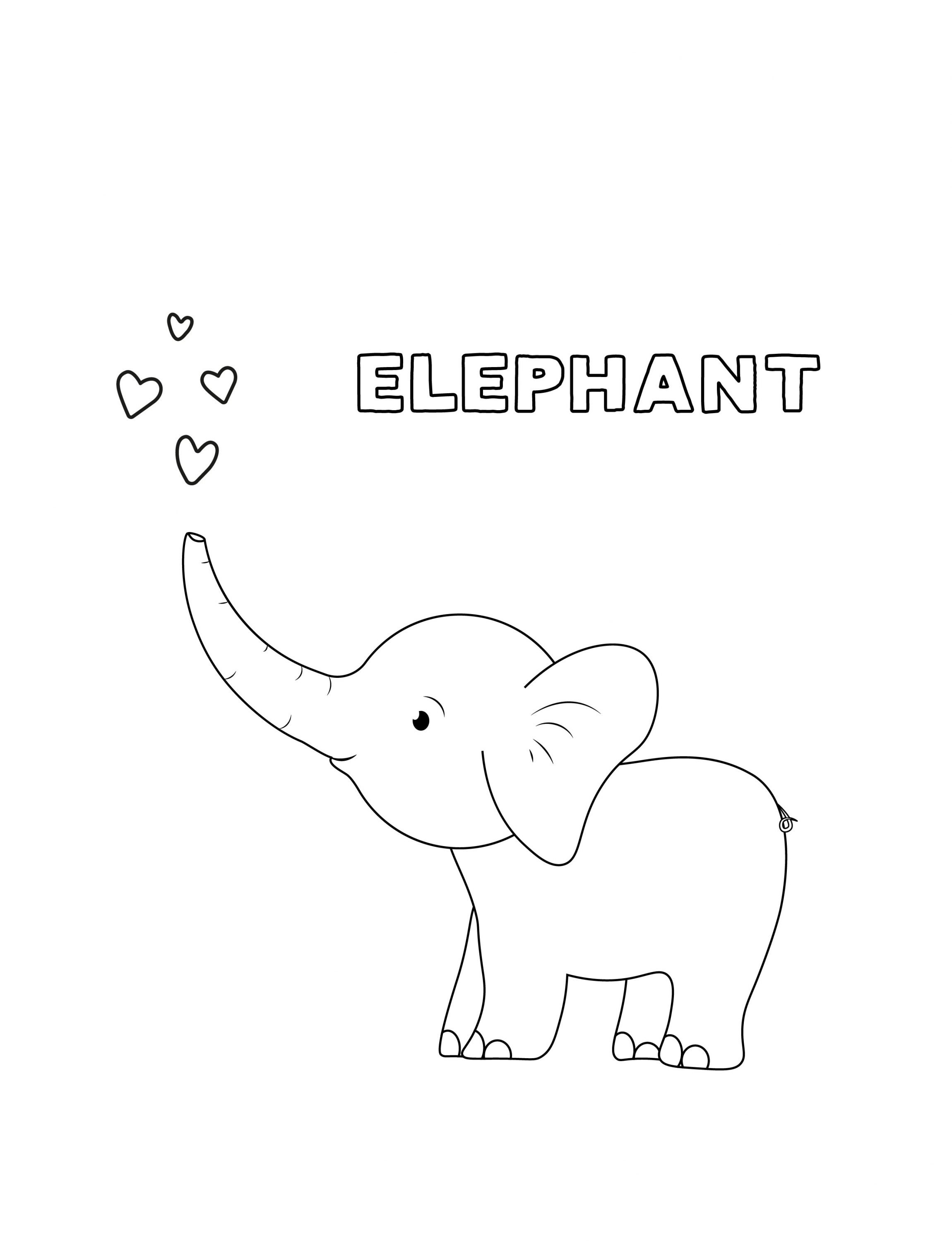 elephant 08