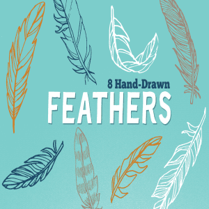 Vector Hand Drawn Feathers main cover.