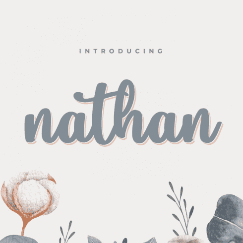 Nathan Script Font Example.