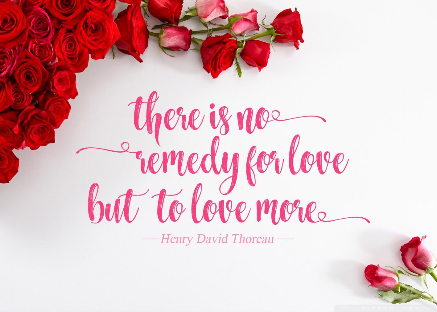 This large bouquet of roses and an inscription are just made for romantic evenings.