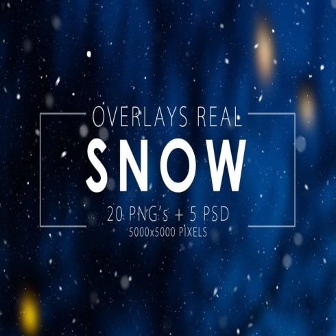 Real Snow Overlays main cover.