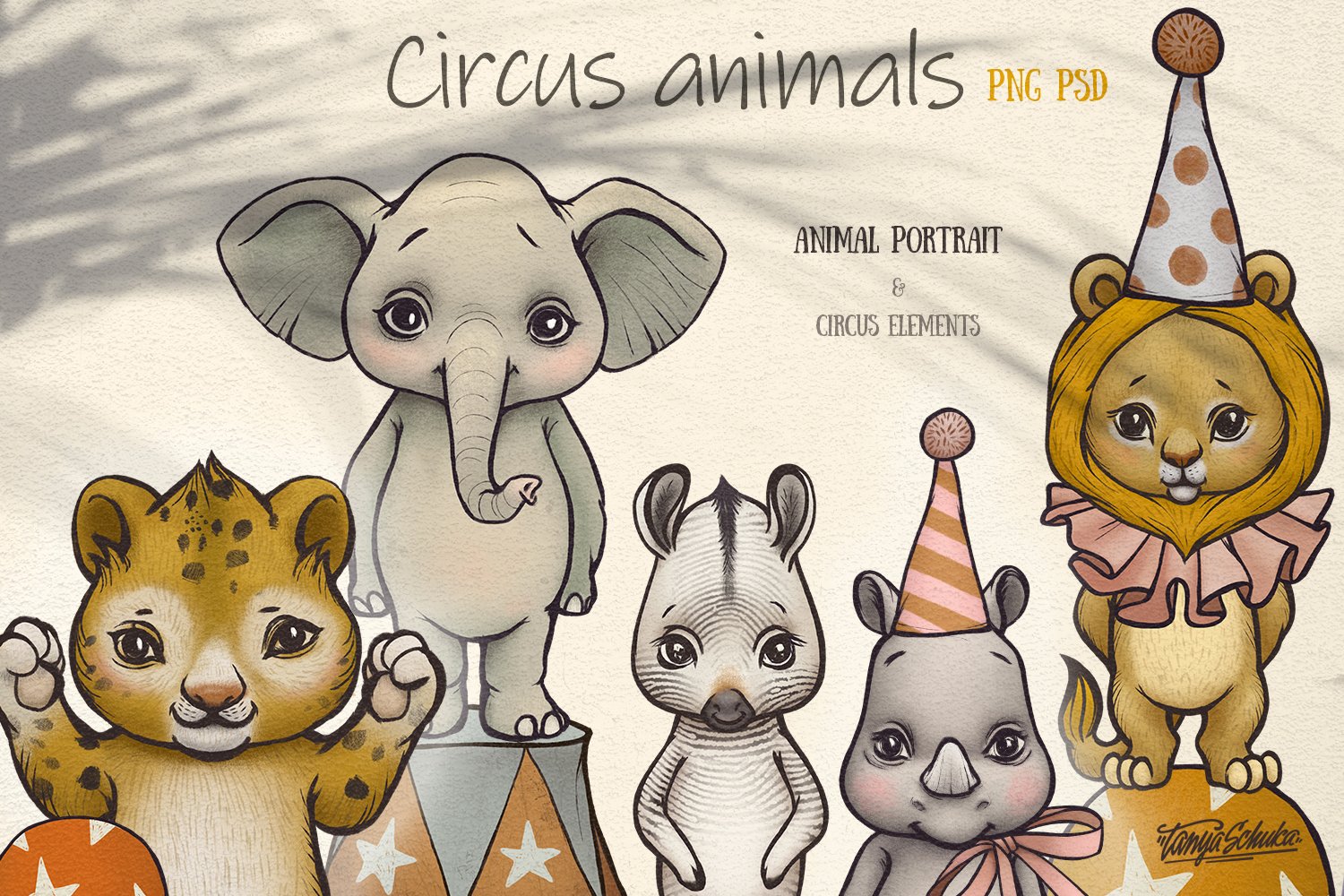 All circus animals.