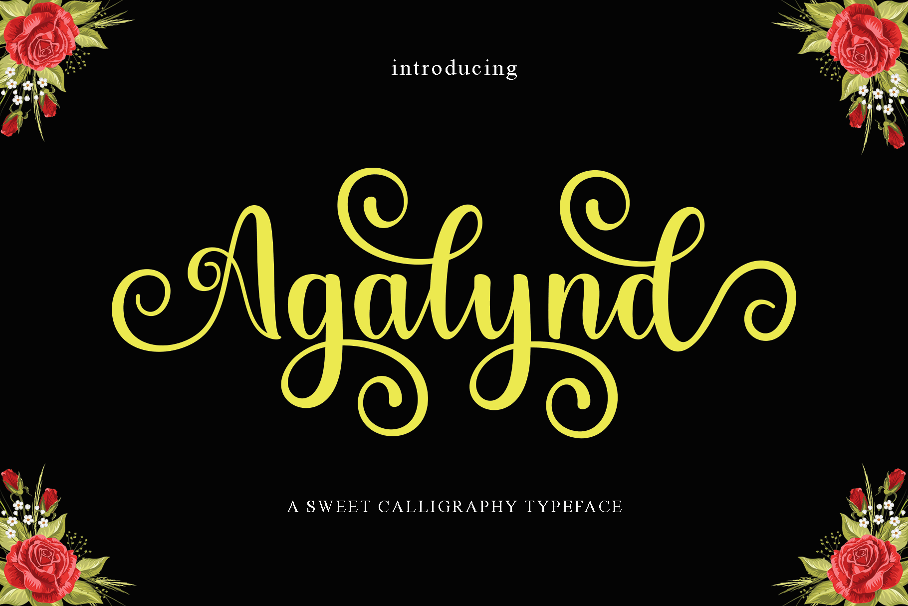 Agalynd Modern Calligraphy cover image.