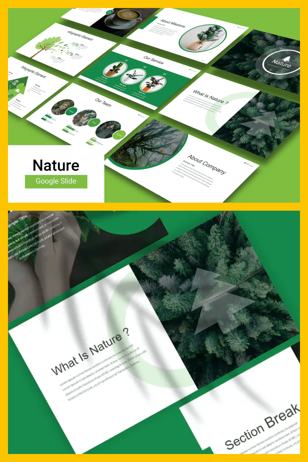 Fresh green template with forests and pine trees.