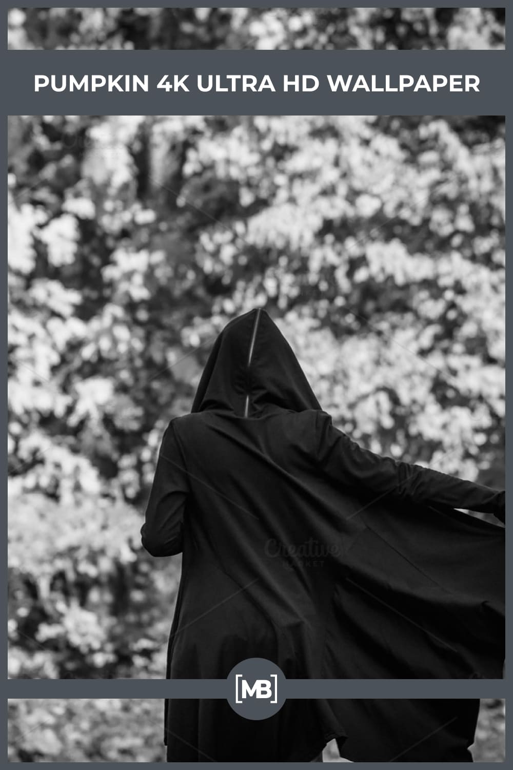 The back of a girl in a black cloak against the background of a black and white forest.