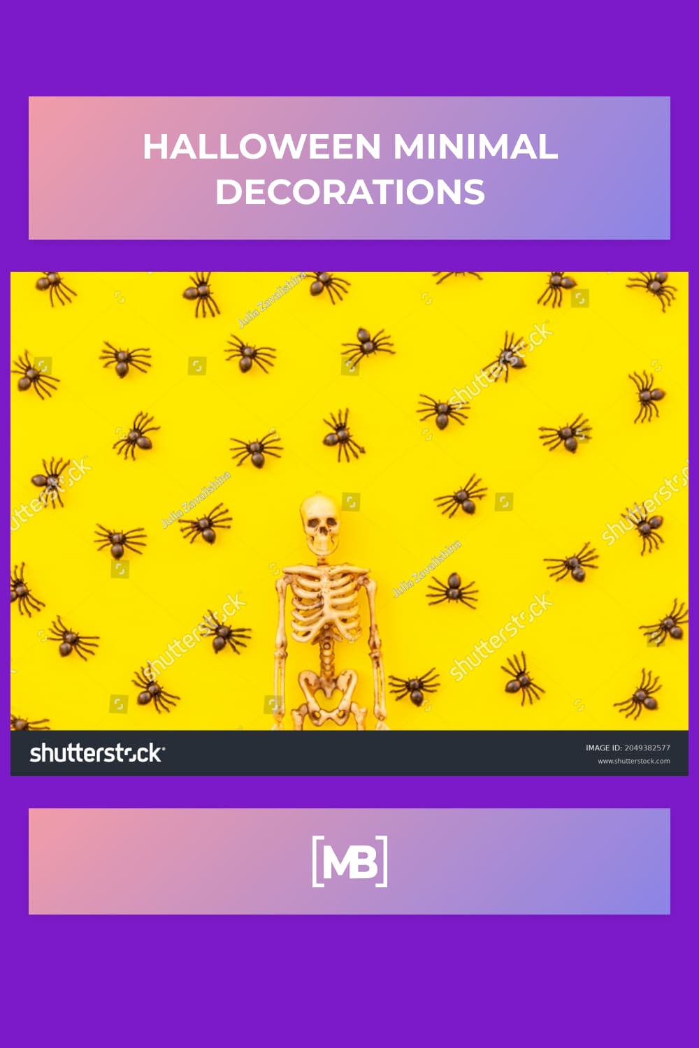 Human skeleton on a yellow background with painted spiders.