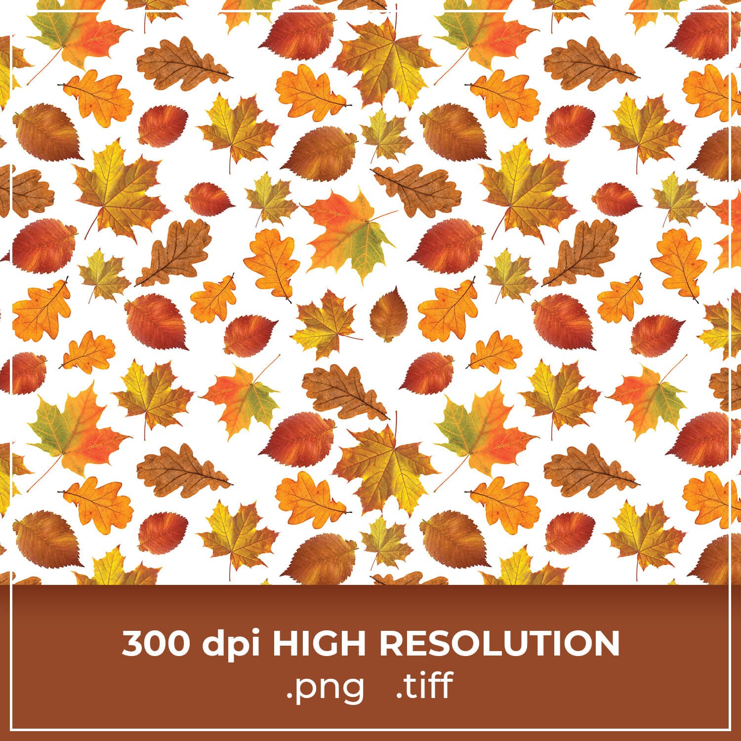 Free Autumn Leaves Pattern cover image.