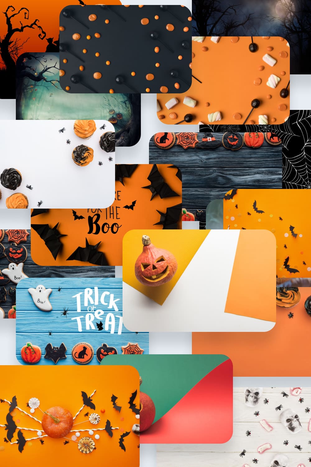 Collage of images with orange, white black backgrounds with pumpkins and bats.