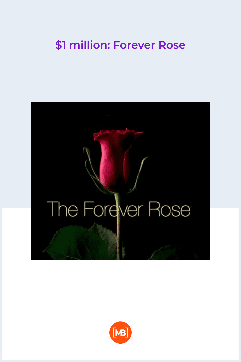Forever Rose.