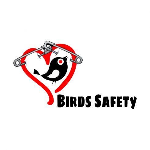 Bird Safety