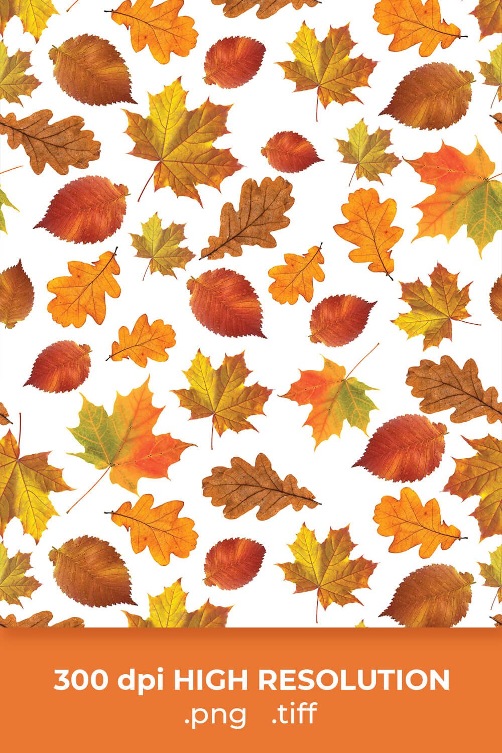 Free Autumn Leaves Pattern pinterest image.
