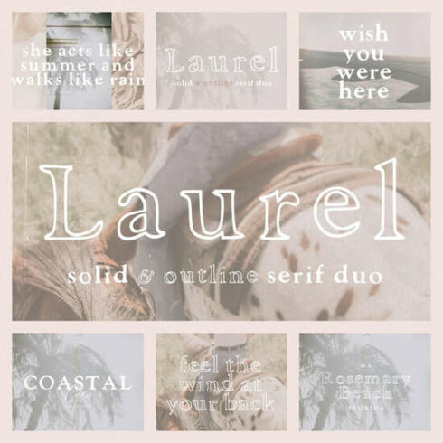 Laurel : a Handcrafted Outline Duo main cover.